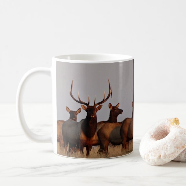 Caneca De Café E66 Touro Elk e Vacas (Com Donut)