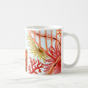Caneca De Café Echinodermos de Recife da Barreira do excelente   