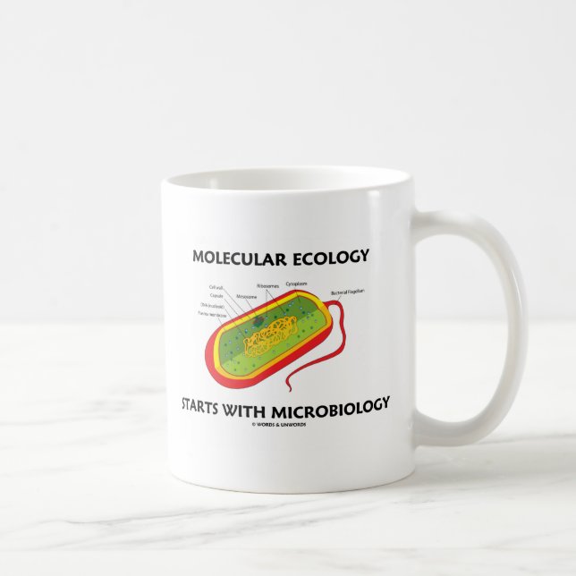 Caneca De Café Ecologia Molecular Começa Com Microbiologia (Direita)