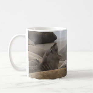 Caneca De Café Elephant Seal Rookery San Simeon, CA