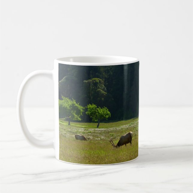 Caneca De Café Elk Meadow no Parque Nacional Redwood (Esquerda)