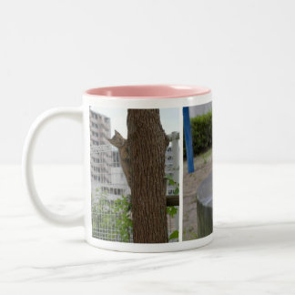 CANECA DE CAFÉ EM DOIS TONS 美形のキジトラ猫の女の子