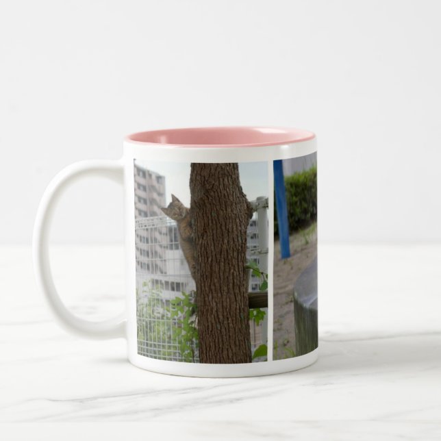 CANECA DE CAFÉ EM DOIS TONS 美形のキジトラ猫の女の子 (Esquerda)