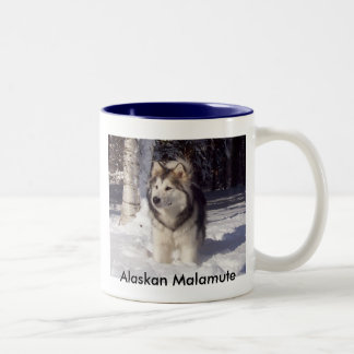Caneca De Café Em Dois Tons 100_5815, Malamute do Alasca