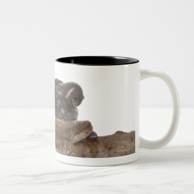 CANECA DE CAFÉ EM DOIS TONS 23568138 (Direita)