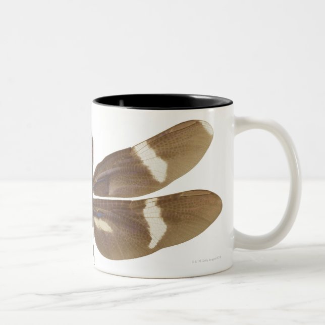 CANECA DE CAFÉ EM DOIS TONS 23599152 (Direita)