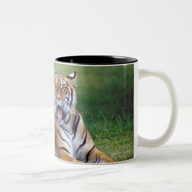 CANECA DE CAFÉ EM DOIS TONS 23899167 (Direita)