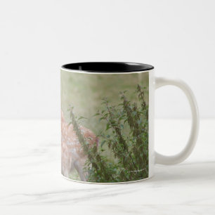 CANECA DE CAFÉ EM DOIS TONS 23899263