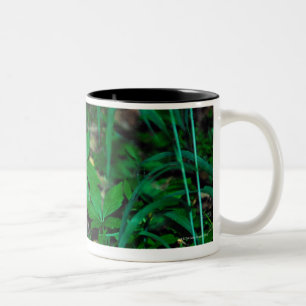 CANECA DE CAFÉ EM DOIS TONS 24114390