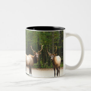 Caneca De Café Em Dois Tons 2 alces da montanha rochosa