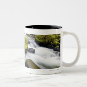 Caneca De Café Em Dois Tons A água que flui pelo musgo cobriu rochas em um