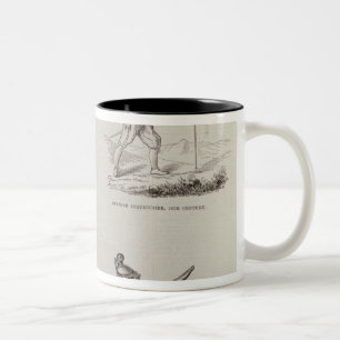Caneca De Café Em Dois Tons A arma e seu desenvolvimento