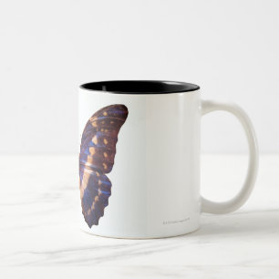 Caneca De Café Em Dois Tons A borboleta com asas espalhou 3