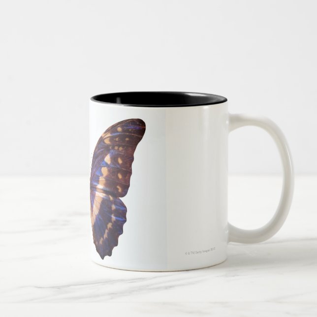 Caneca De Café Em Dois Tons A borboleta com asas espalhou 3 (Direita)