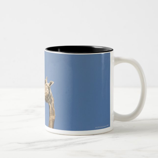 Caneca De Café Em Dois Tons A cabeça do girafa (Direita)