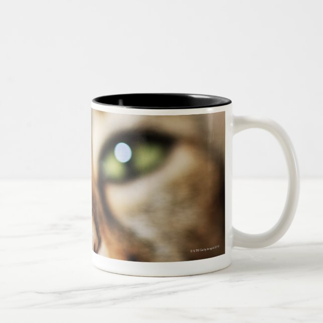 Caneca De Café Em Dois Tons A cara de um gato (Direita)