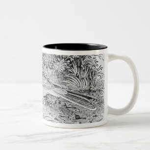 Caneca De Café Em Dois Tons A cotovia