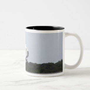 Caneca De Café Em Dois Tons A Descoberta de Encerramento de Espaço toca 2