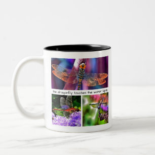 Caneca De Café Em Dois Tons A Dragonfly Toca No Ídiom Ligeiro Da Água