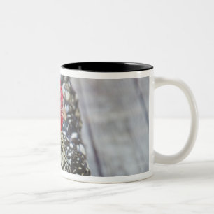 Caneca De Café Em Dois Tons A galinha na plataforma de madeira, prateia