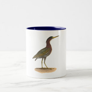 Caneca De Café Em Dois Tons A garça-real verde, ou puxão (virescens do Ardea