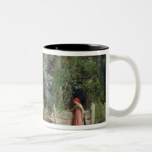 Caneca De Café Em Dois Tons A lagoa do pato