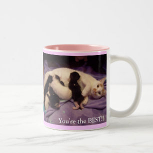 Caneca De Café Em Dois Tons A melhor baby-sitter dos mundos!!!