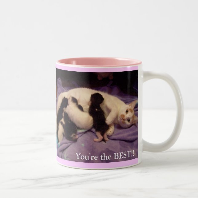 Caneca De Café Em Dois Tons A melhor baby-sitter dos mundos!!! (Direita)