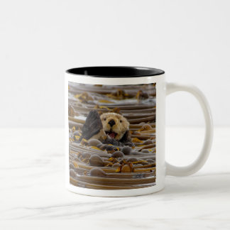 Caneca De Café Em Dois Tons A Pequena Lontra Marítima