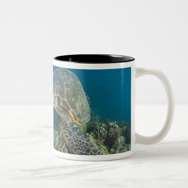 Caneca De Café Em Dois Tons A Tartaruga Verde (Chelonia mydas) é a 2 (Direita)