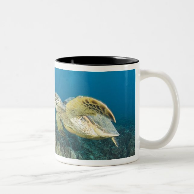 Caneca De Café Em Dois Tons A Tartaruga Verde (Chelonia mydas) é a 3 (Direita)