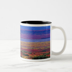 Caneca De Café Em Dois Tons A tundra do Parque Nacional de Denali, no fim