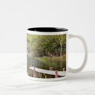 Caneca De Café Em Dois Tons Abadia de Kylemore, Irlanda. A Abadia de Kylemore 