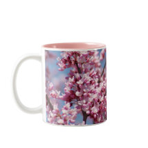 Abelha Floral Cor-de-rosa-Árvore Redbud