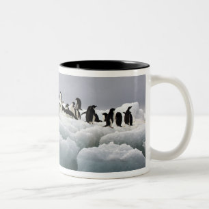 Caneca De Café Em Dois Tons Adelie Penguin Pygoscelis adeliae),