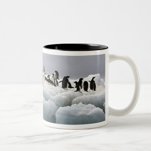 Caneca De Café Em Dois Tons Adelie Penguin Pygoscelis adeliae), (Direita)