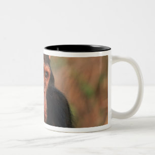 Caneca De Café Em Dois Tons África, África Oriental, Tanzânia