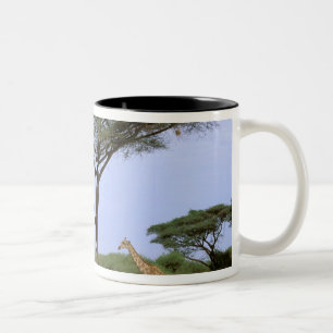 Caneca De Café Em Dois Tons África, Botsuana, Delta do Okavango. Sul