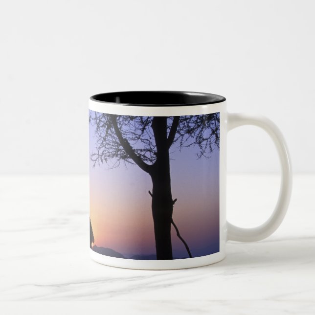 Caneca De Café Em Dois Tons África, Etiópia, Região do Rio Omo, Sunset over (Direita)