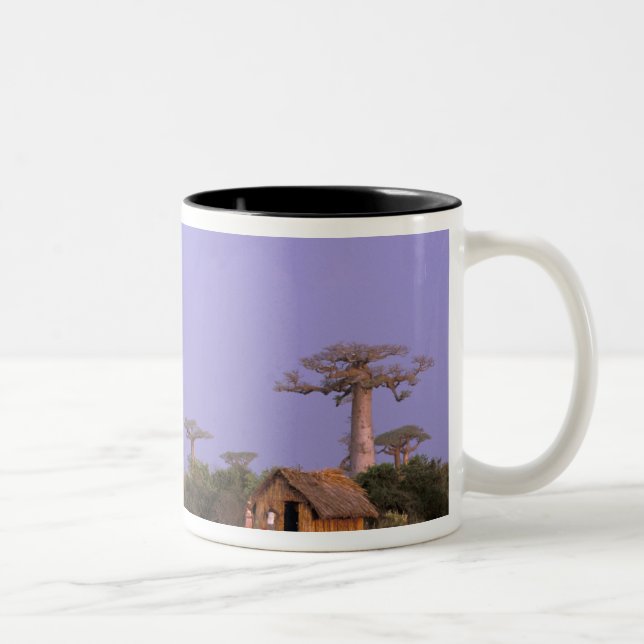 Caneca De Café Em Dois Tons África, Madagascar, Morondava. Baobás (Direita)