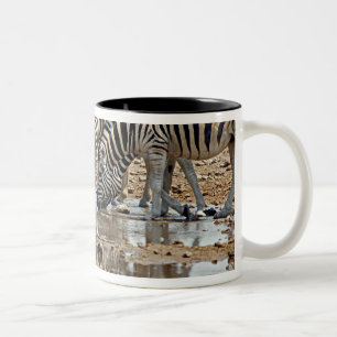 Caneca De Café Em Dois Tons África, Namíbia, Etosha NP. Zebra-de-burchell