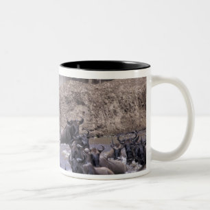 Caneca De Café Em Dois Tons África, Quênia, Masai Mara National Park.