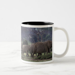 Caneca De Café Em Dois Tons África, Quênia, Parque Nacional de Amboseli. 3