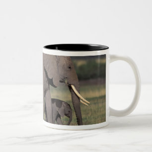 Caneca De Café Em Dois Tons África, Quênia, Parque Nacional de Amboseli. Afric
