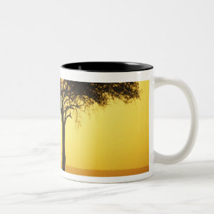 Caneca De Café Em Dois Tons África, Quênia, Reserva de Caça Masai Mara, Nascen