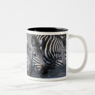 Caneca De Café Em Dois Tons África, Quênia, Reserva de Caça Masai Mara, Planíc