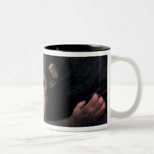Caneca De Café Em Dois Tons África, Tanzânia, Parque Nacional Gombe