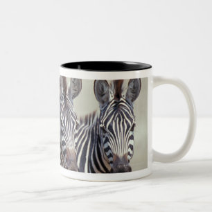 Caneca De Café Em Dois Tons África, Tanzânia, zebras