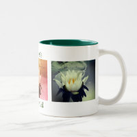 Água Lily Lotus Flor Personalizada