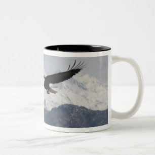 Caneca De Café Em Dois Tons Águia-careca em Voo, Haliaeetus leucocephalus,